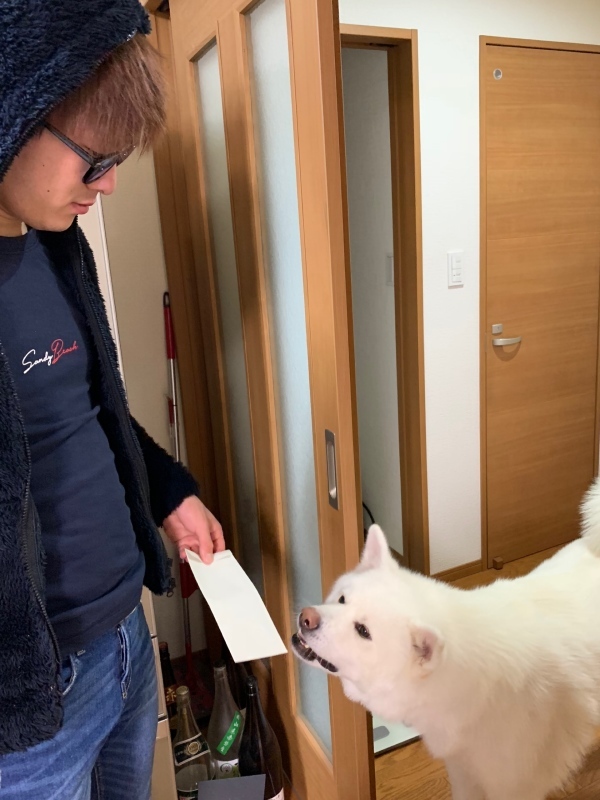e0364035_15333118.jpeg
