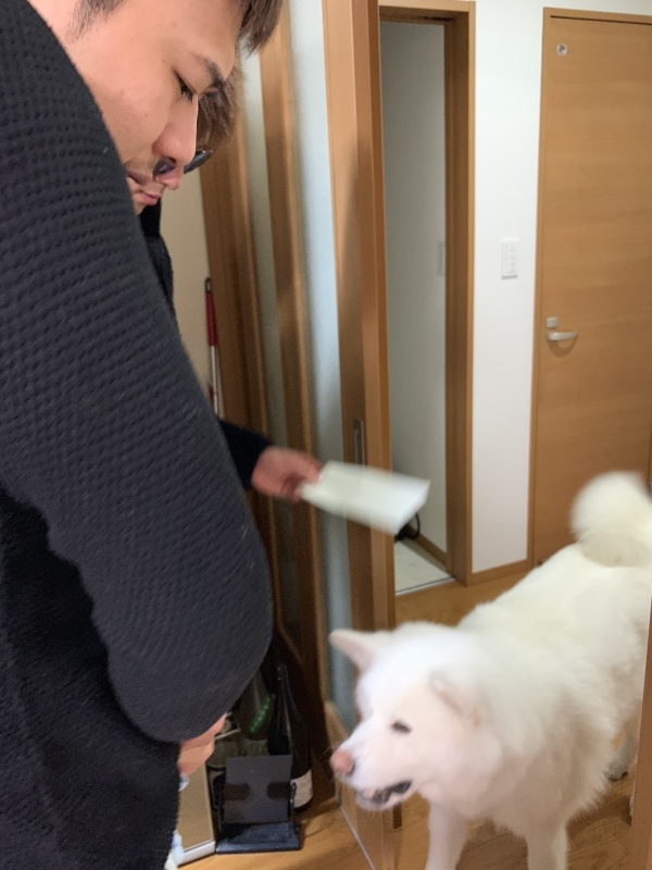 e0364035_15342732.jpeg