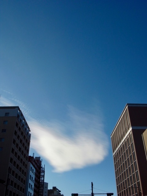 d0350542_16312240.jpg