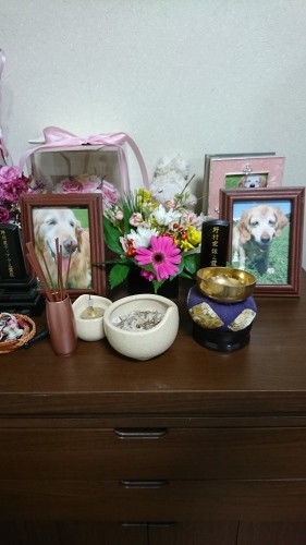 a0329943_00021928.jpg