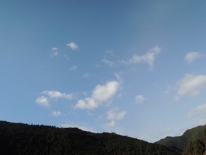 a0054948_11375452.jpg