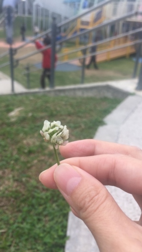 f0367954_18243363.jpeg
