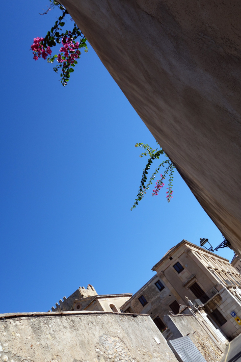 タラゴナの旧市街を散策 タラゴナ大聖堂 Catedral de Tarragona 人間の塔 Castell 無形文化遺産 2018年9月 バルセロナの旅(12)_f0117059_19543531.jpg