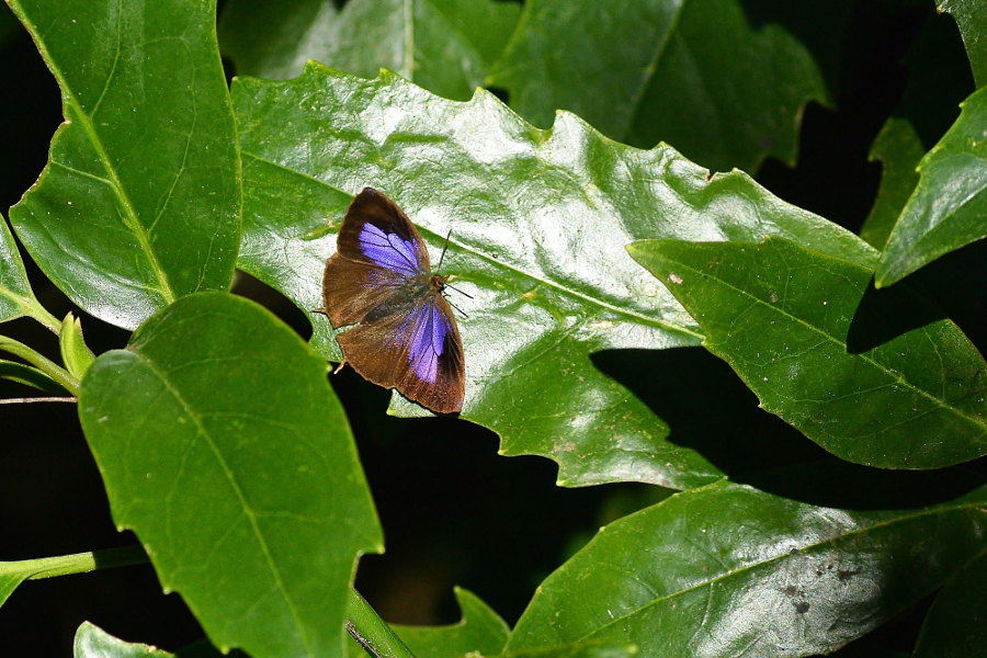 d0387460_22181423.jpg
