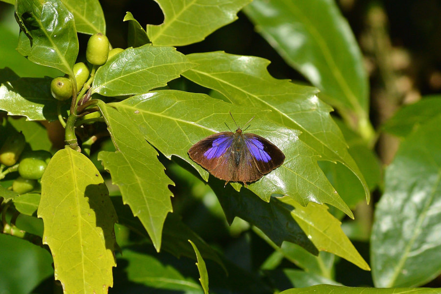 d0387460_22183183.jpg