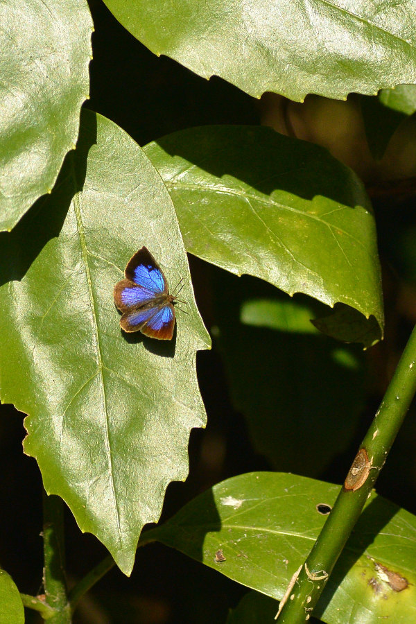 d0387460_22184709.jpg