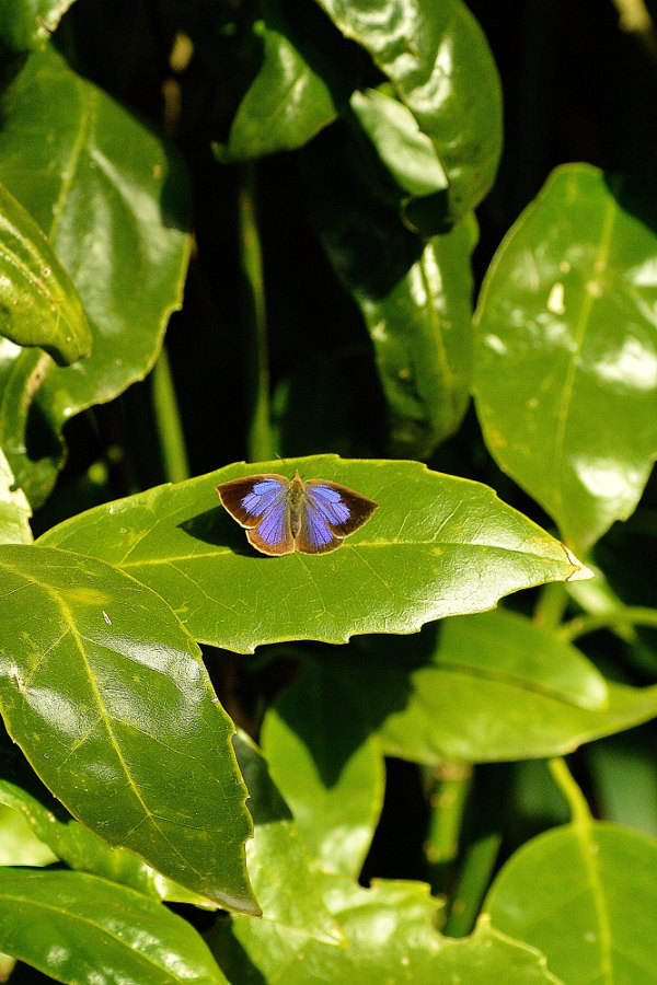 d0387460_22190264.jpg