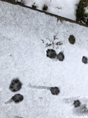 c0087867_21195105.jpg