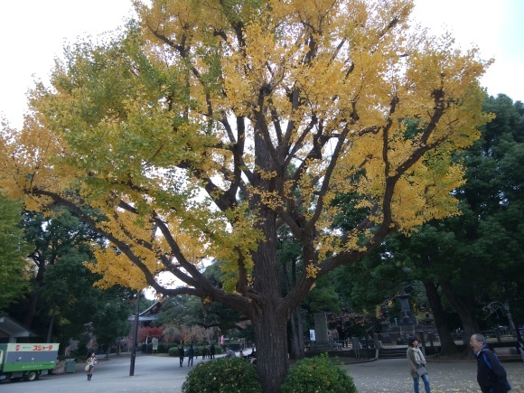 f0165567_06335180.jpg