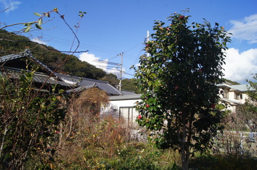 e0181373_21371658.jpg