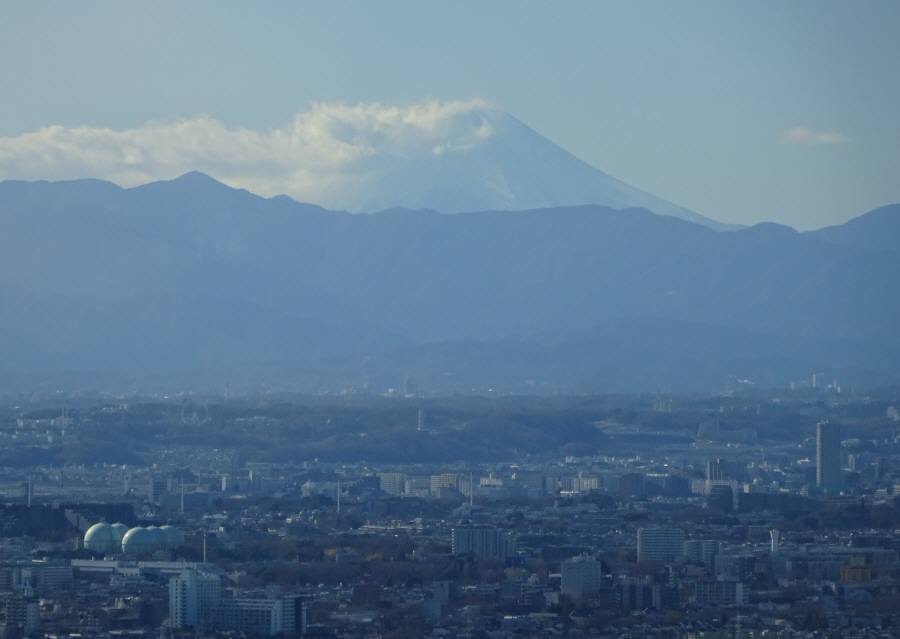 f0059673_19052887.jpg