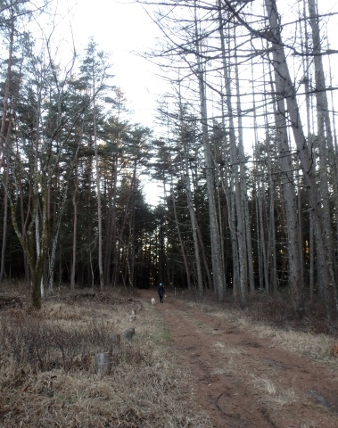 f0052277_22431440.jpg