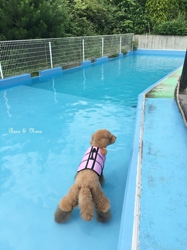 c0283778_10480313.jpeg
