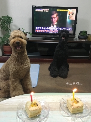 c0283778_10501437.jpeg