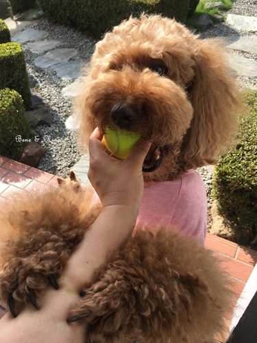 c0283778_11011386.jpeg