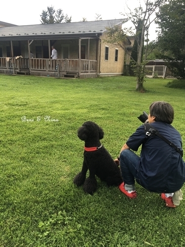 c0283778_11044101.jpeg