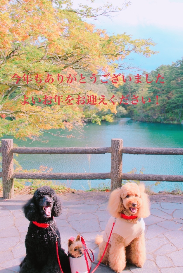 c0283778_11234121.jpeg