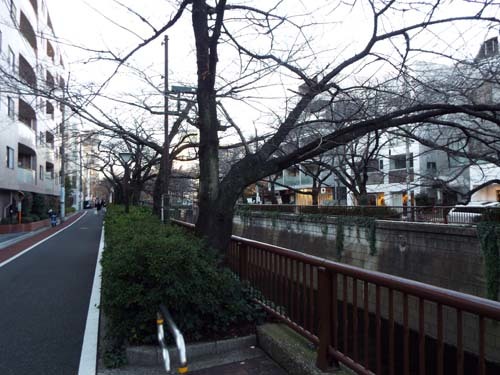 f0211178_13080501.jpg