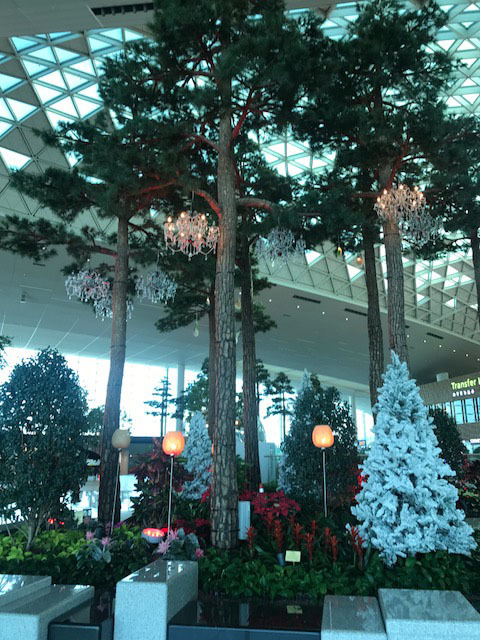 e0242080_14130391.jpg