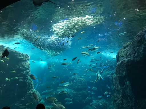 b0403984_15175451.png