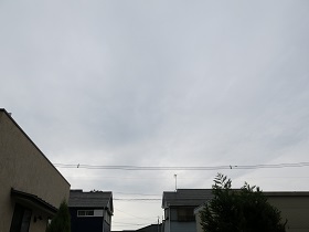 e0130185_1055575.jpg