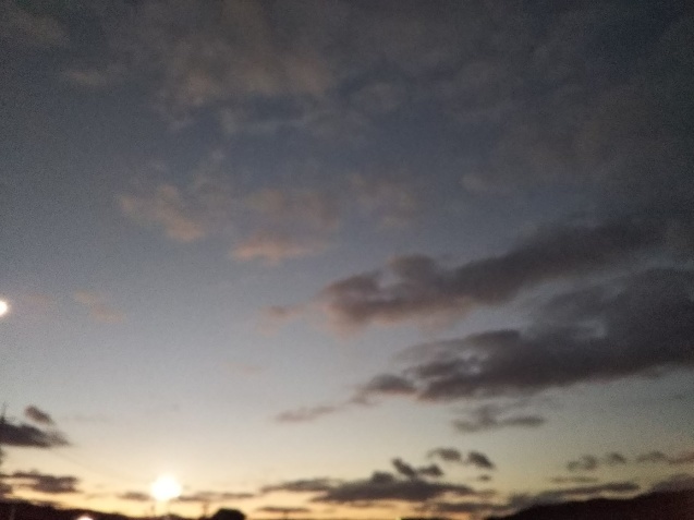 c0313086_17334326.jpg