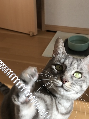 c0340786_13233885.jpeg