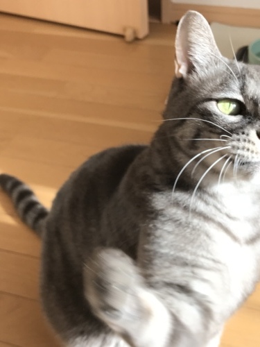 c0340786_13235262.jpeg