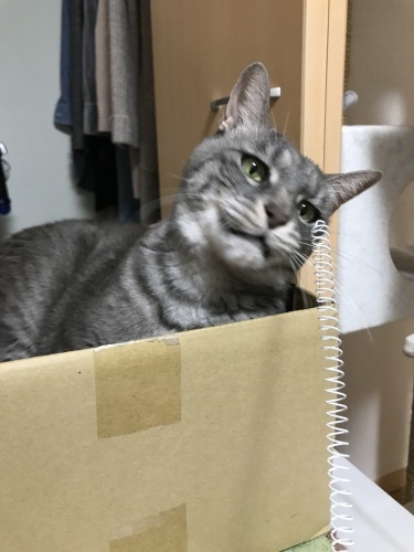 c0340786_13243598.jpeg