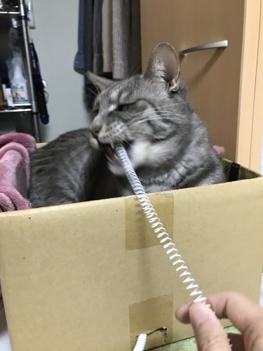 c0340786_13244840.jpeg