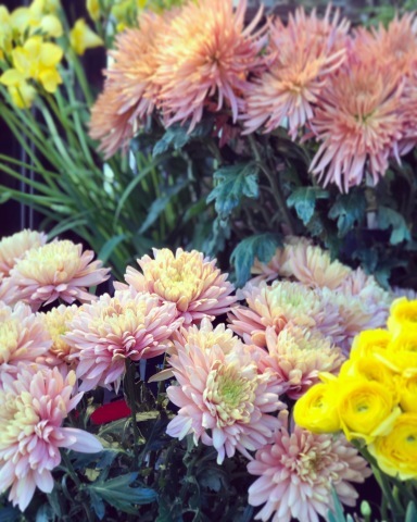大晦日に好きな色のお花を見つけて_a0157409_13411851.jpeg