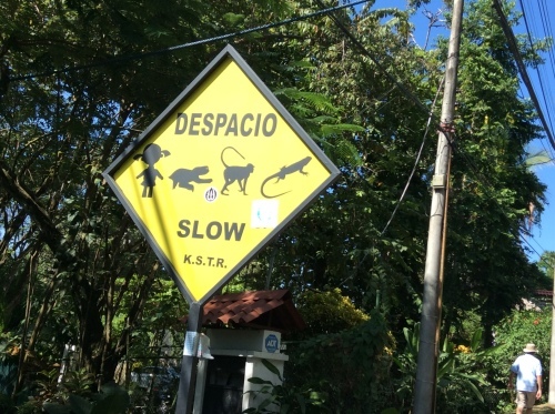 a0331910_06113623.jpeg