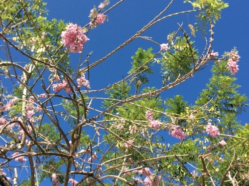 a0331910_06122415.jpeg