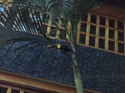 a0331910_06133177.jpeg