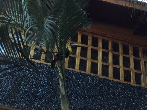 a0331910_06135049.jpeg