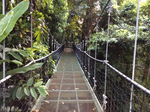a0331910_06153591.jpeg