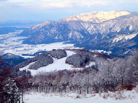 c0078410_19404226.jpg