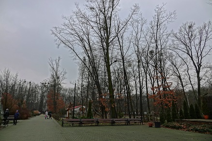 a0151913_631761.jpg