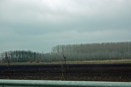 a0151913_636592.jpg