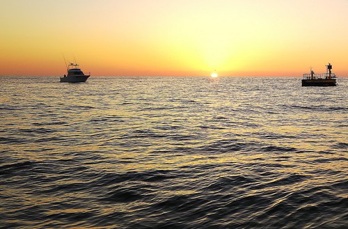 e0172921_1165265.jpg