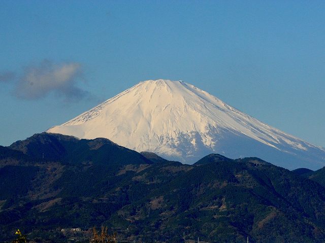2019年正月_b0000829_1151142.jpg