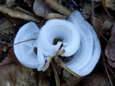 e0033229_16442314.jpg