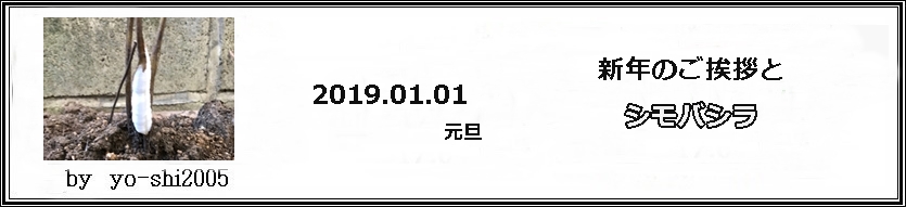 e0033229_1711135.jpg