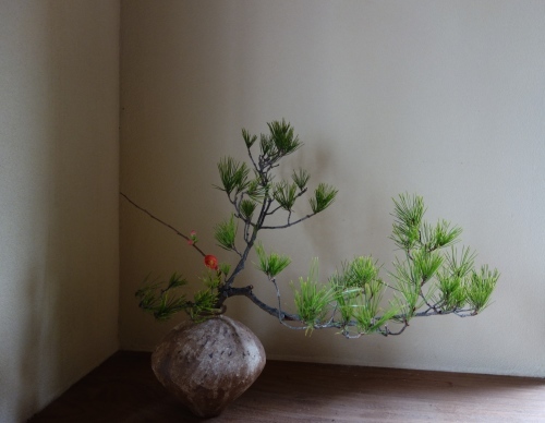 年始の花 ー松を生ける_a0197730_22024288.jpg