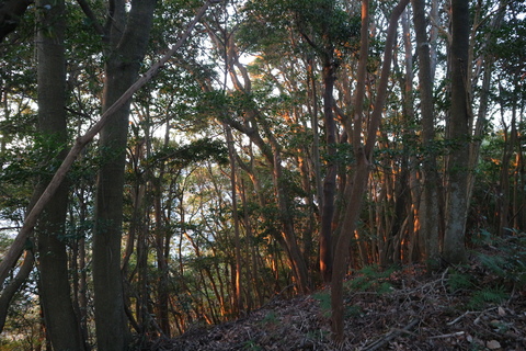 e0272335_19295964.jpg