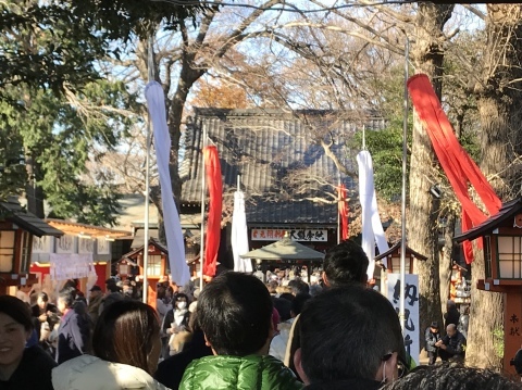 a0317236_17134093.jpeg
