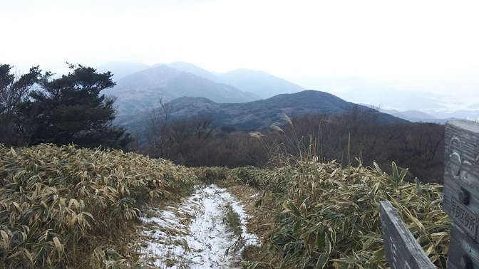 c0077338_16084372.jpg