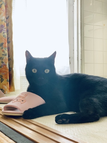 b0341440_22561510.jpeg