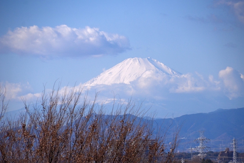 c0220040_22290374.jpg