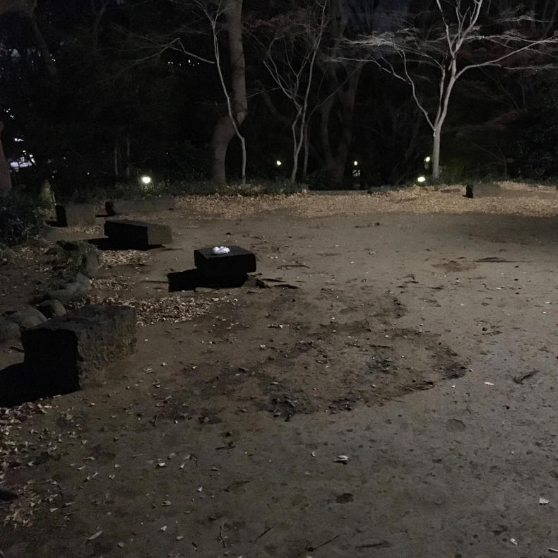 年賀状を出したついでに上野のお山に登ってきた #アーバンアルピニスト_c0060143_18020885.jpg